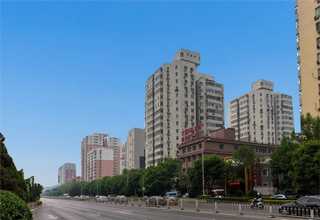 济南大米塑料提手供应商