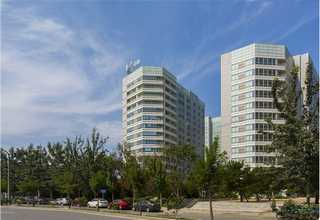 印度高性能酞青PG7